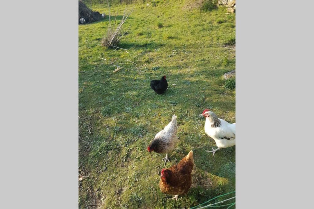 Sejour A La Campagne *